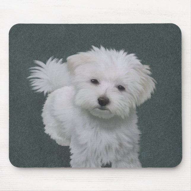   Little white dog pet portrait  Mouse Pad (Front)