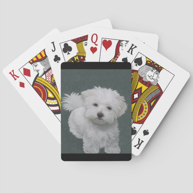   Little white dog pet portrait  Poker Cards (Back)