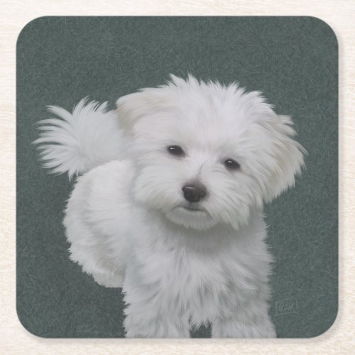   Little white dog pet portrait  Square Paper Coaster