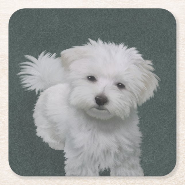   Little white dog pet portrait  Square Paper Coaster (Front)