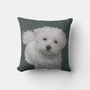 Little white dog pet portrait Throw Pillow