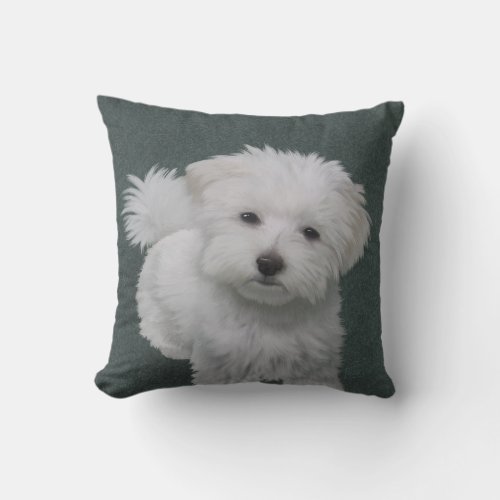   Little white dog pet portrait  Throw Pillow