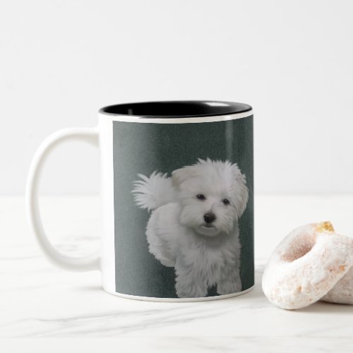   Little white dog pet portrait Two_Tone Coffee Mug