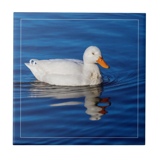 Little White Duck In Rippled Water Ceramic Tile (Front)