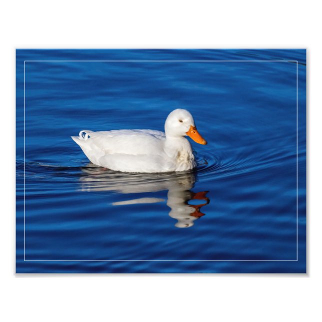 Little White Duck In Rippled Water Photo Print (Front)