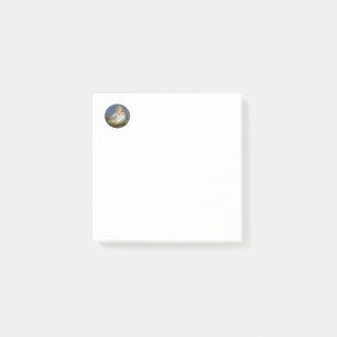 Little White Duck Post-it Notes