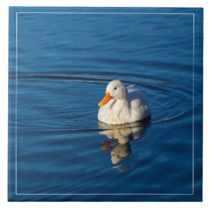 Little White Duck Reflections Ceramic Tile
