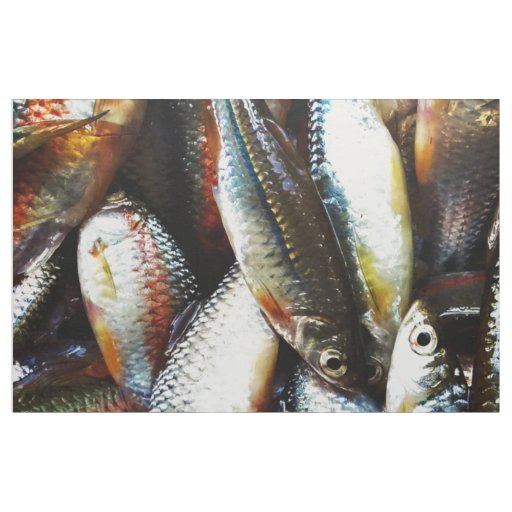 Little White Fish Fabric