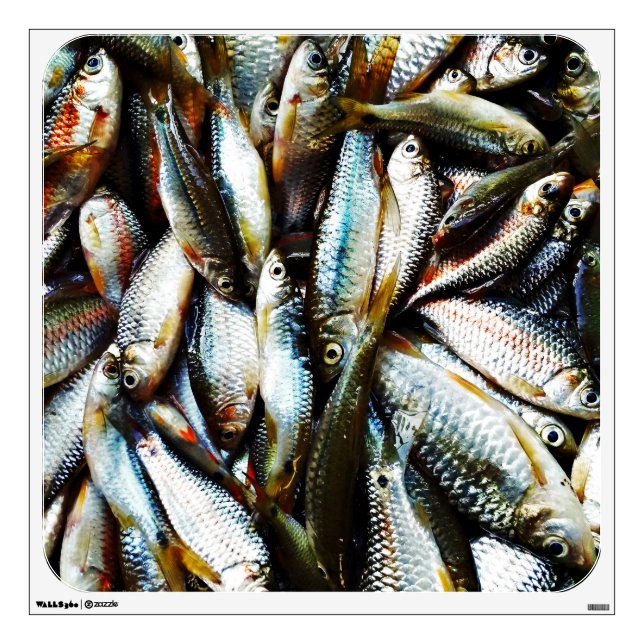 Little White Fish Wall Sticker (Front)