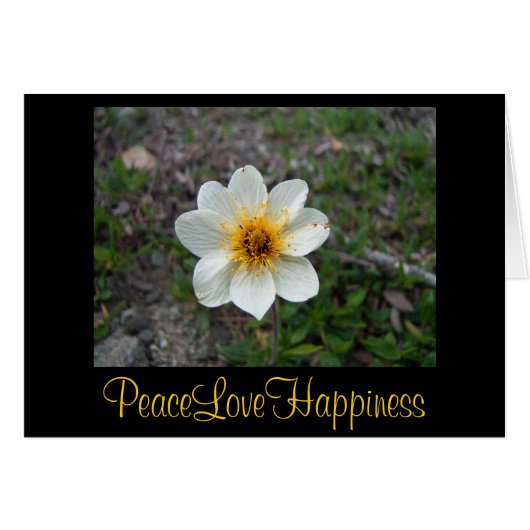 Little White Flower (Front Horizontal)