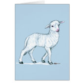 Little White Lamb (Front)