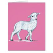 Little White Lamb (Front)