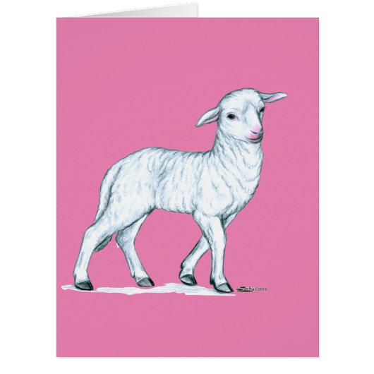 Little White Lamb (Front)