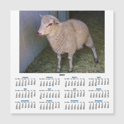 Little White Lamb 2024 Calendar Card