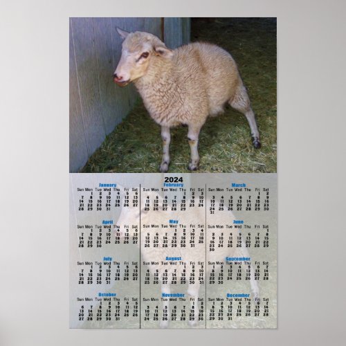 Little White Lamb 2024 Calendar Poster