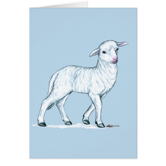 Little White Lamb Cards (Front)