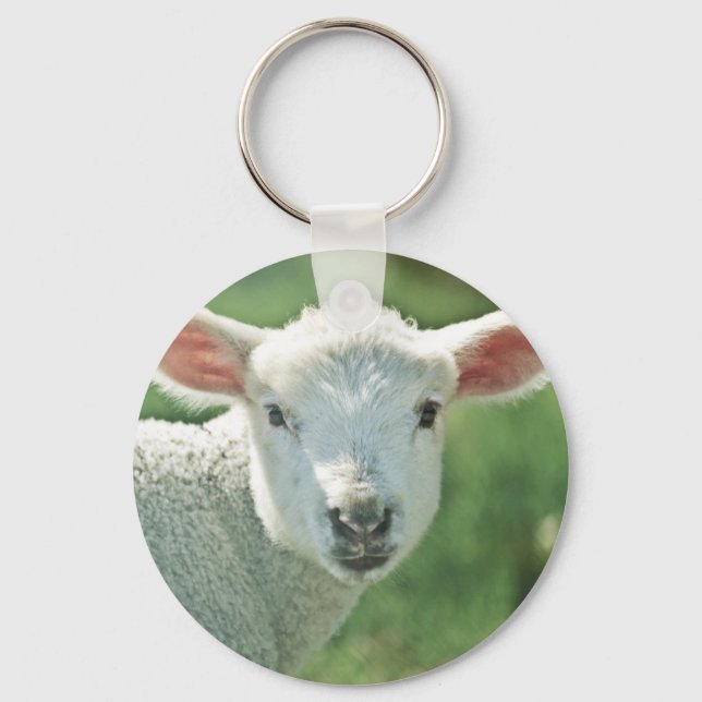 Little White Lamb Keychain (Front)