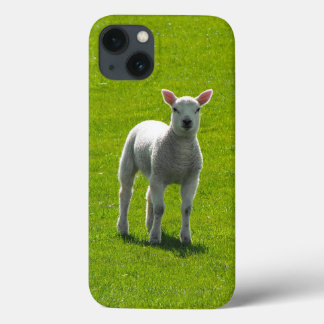 Little White Lamb on green glass iPhone 13 Case