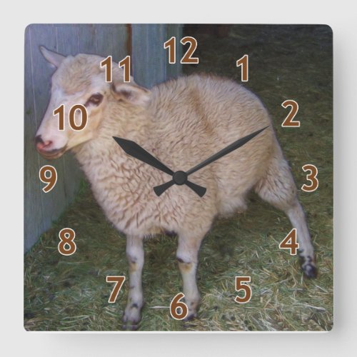 Little White Lamb Square Wall Clock