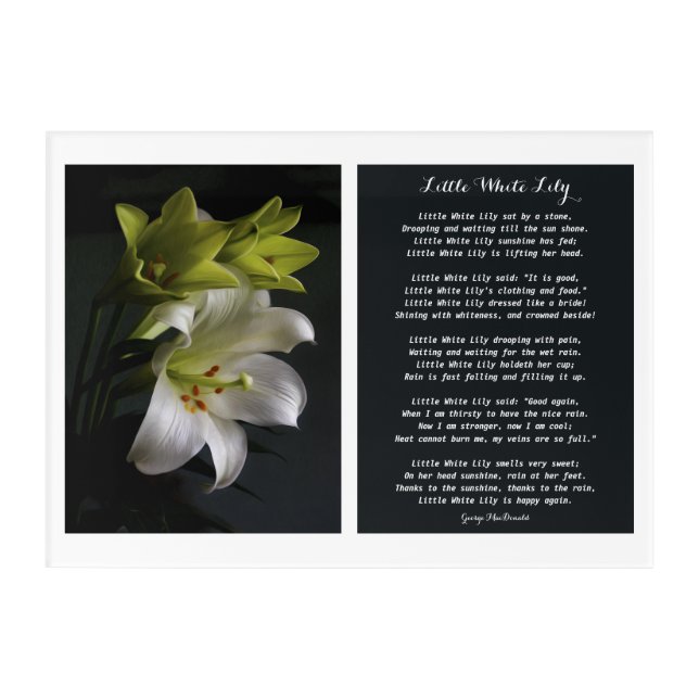 Little White Lily Poem Acrylic Print (Front)
