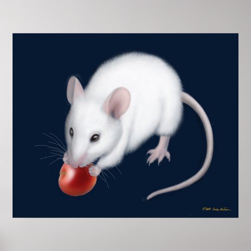 Little White Mouse Print