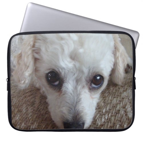 Little White Teacup Poodle Dog Laptop Sleeve