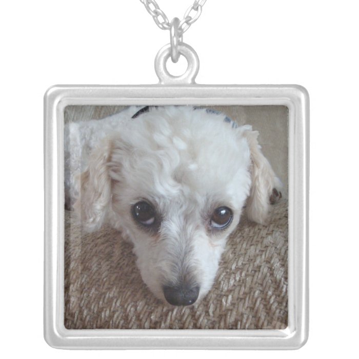 Little White Teacup Poodle Dog Personalized Necklace