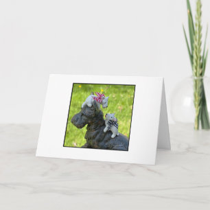 Little White Westies Card
