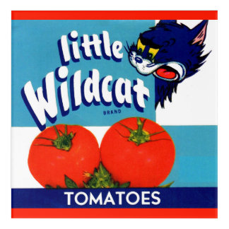 Little Wildcat tomatoes crate label Acrylic Print