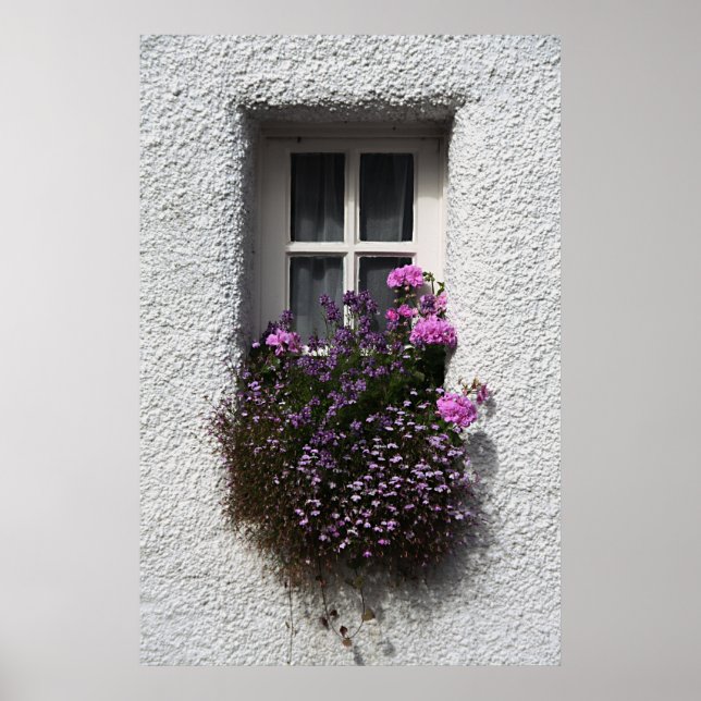 Little Window of Culross Poster Print (Front)
