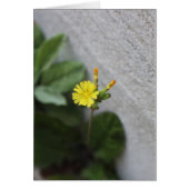 Little Yellow Flower (Front)