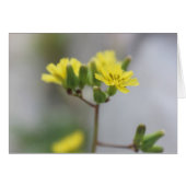 Little Yellow Flower #4 (Front Horizontal)