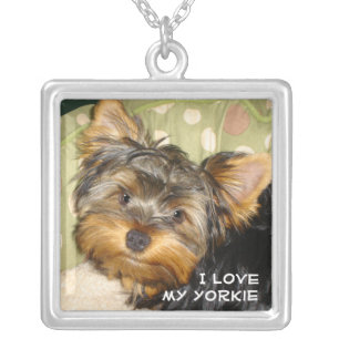 Little Yorkie Silver Plated Necklace