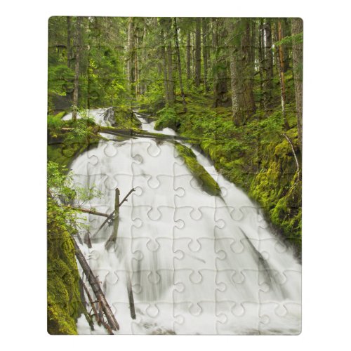 Little Zig Zag Falls  Mount Hood National Forest Jigsaw Puzzle