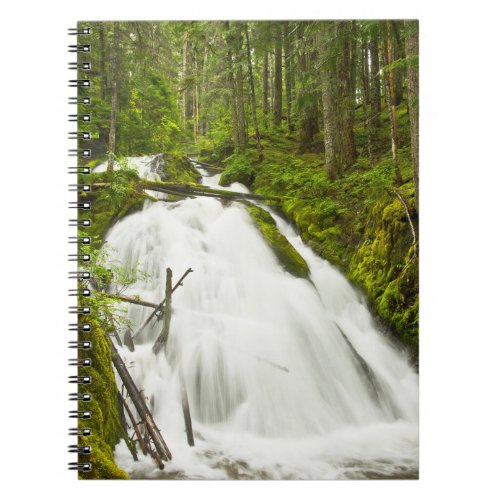 Little Zig Zag Falls  Mount Hood National Forest Notebook