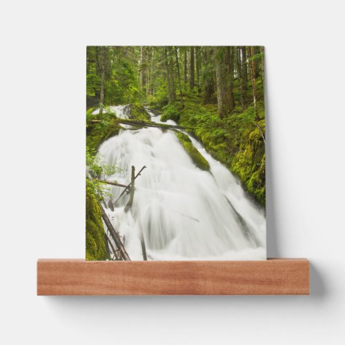 Little Zig Zag Falls  Mount Hood National Forest Picture Ledge