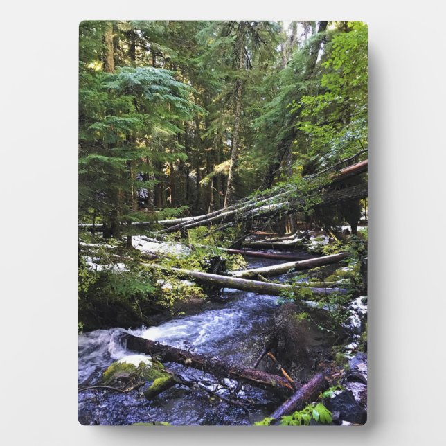 Little Zigzag River, OR Plaque (Front)