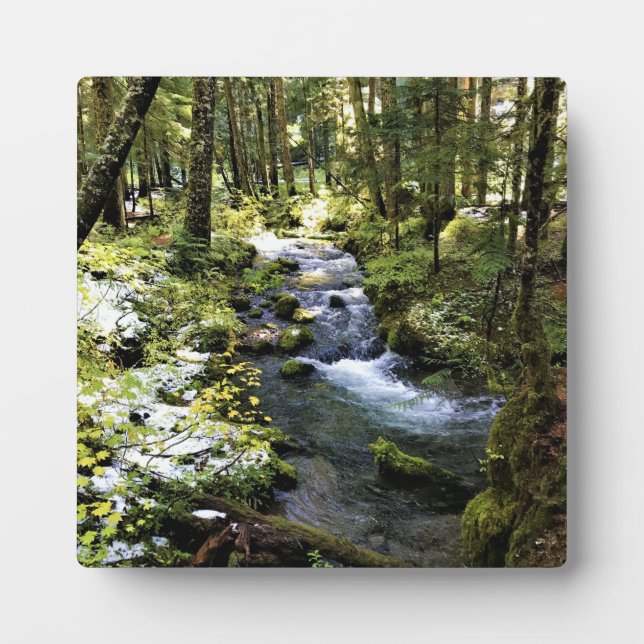 Little Zigzag River, Oregon Plaque (Front)