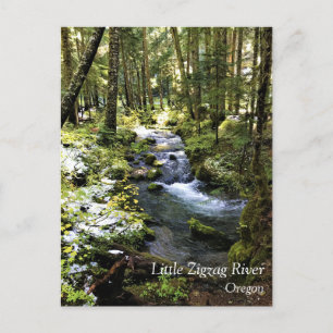 Little Zigzag River, Oregon Postcard