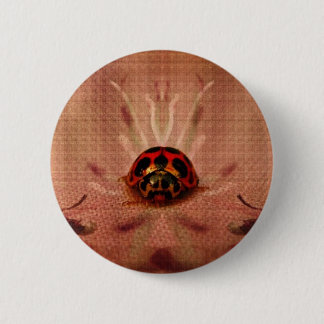 LittleLadyBug Pinback Button