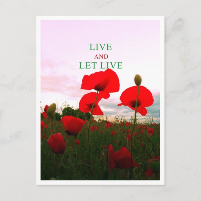 Live and let live postcard (Front)