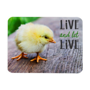 "Live and let live" vegan Magnet