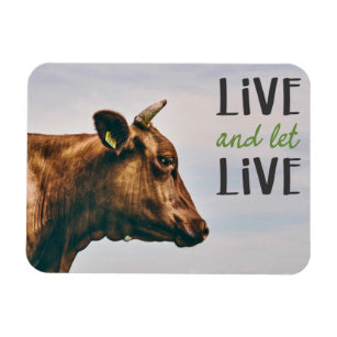 Live and let live with brown cow portrait vegan magnet