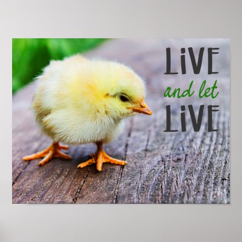 Live and let live with cute yellow chick vegan Poster