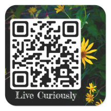 live curiously sticker