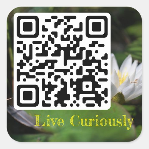 live curiously sticker