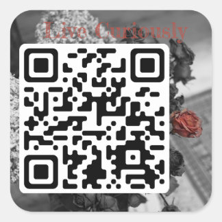 live curiously sticker