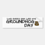 Live every day like it's Groundhog Day! Bumper Sticker