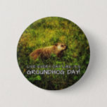 Live every day like it's Groundhog Day! button