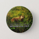 Live every day like it's Groundhog Day! button